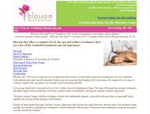 Tablet Screenshot of blossomdayspa.com